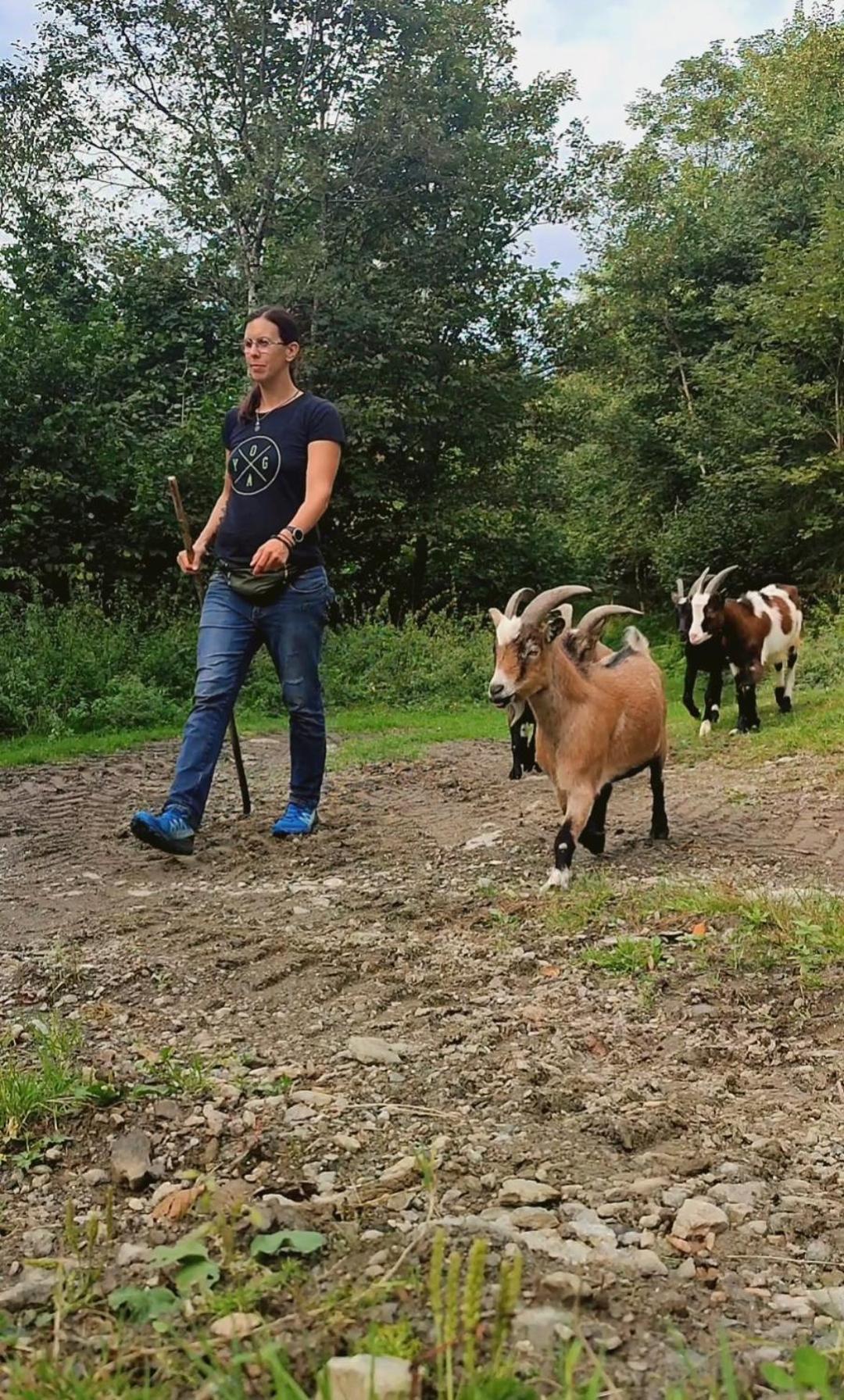 Vila Almhuette Auszeit Donnersbachwald Exteriér fotografie