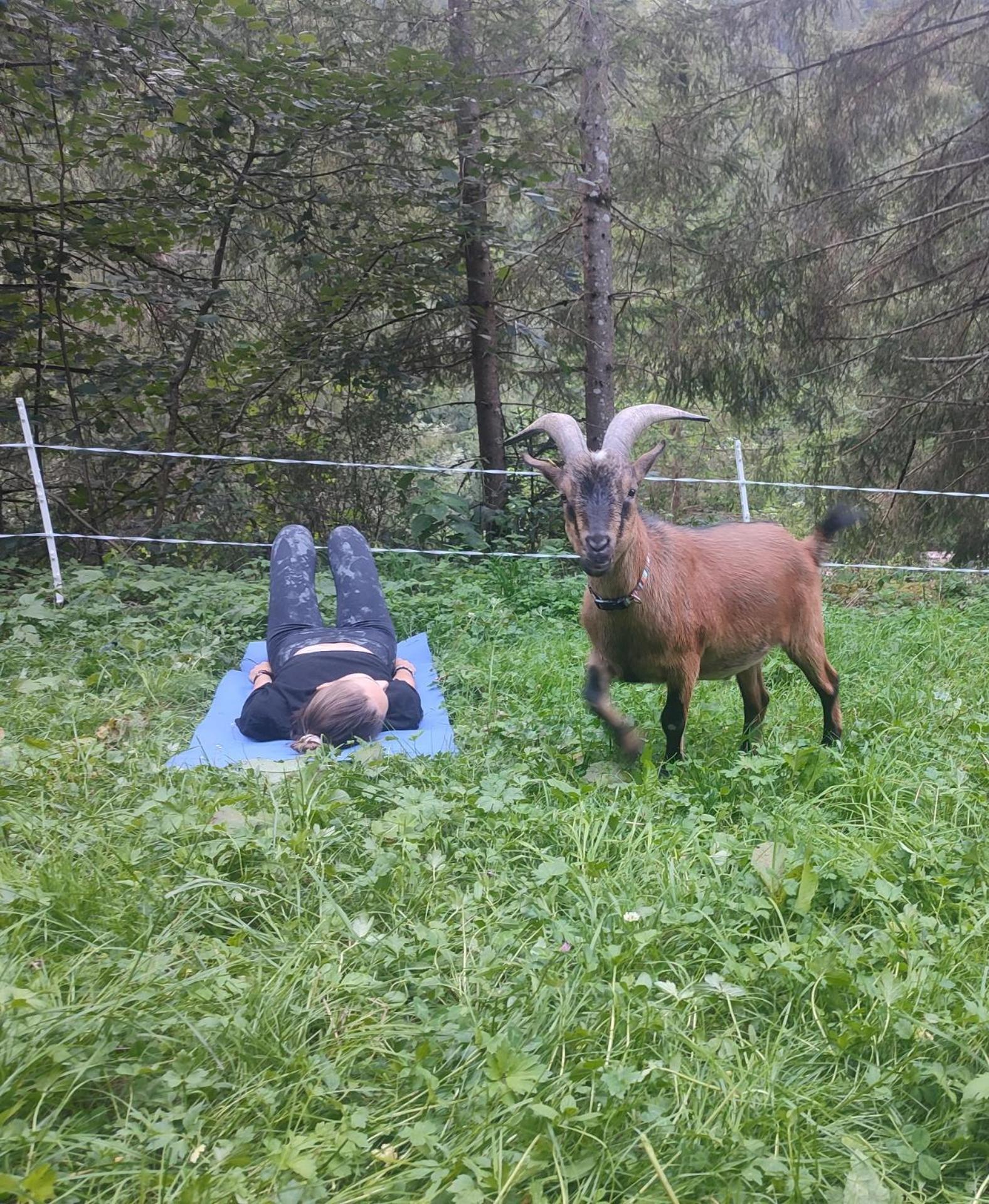 Vila Almhuette Auszeit Donnersbachwald Exteriér fotografie